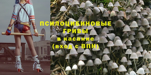 бошки Краснослободск