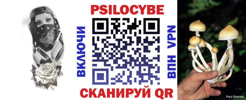 Псилоцибиновые грибы MAGIC MUSHROOMS  Луга 