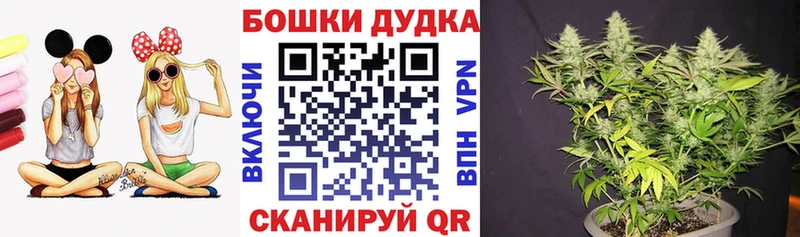 Каннабис конопля Луга